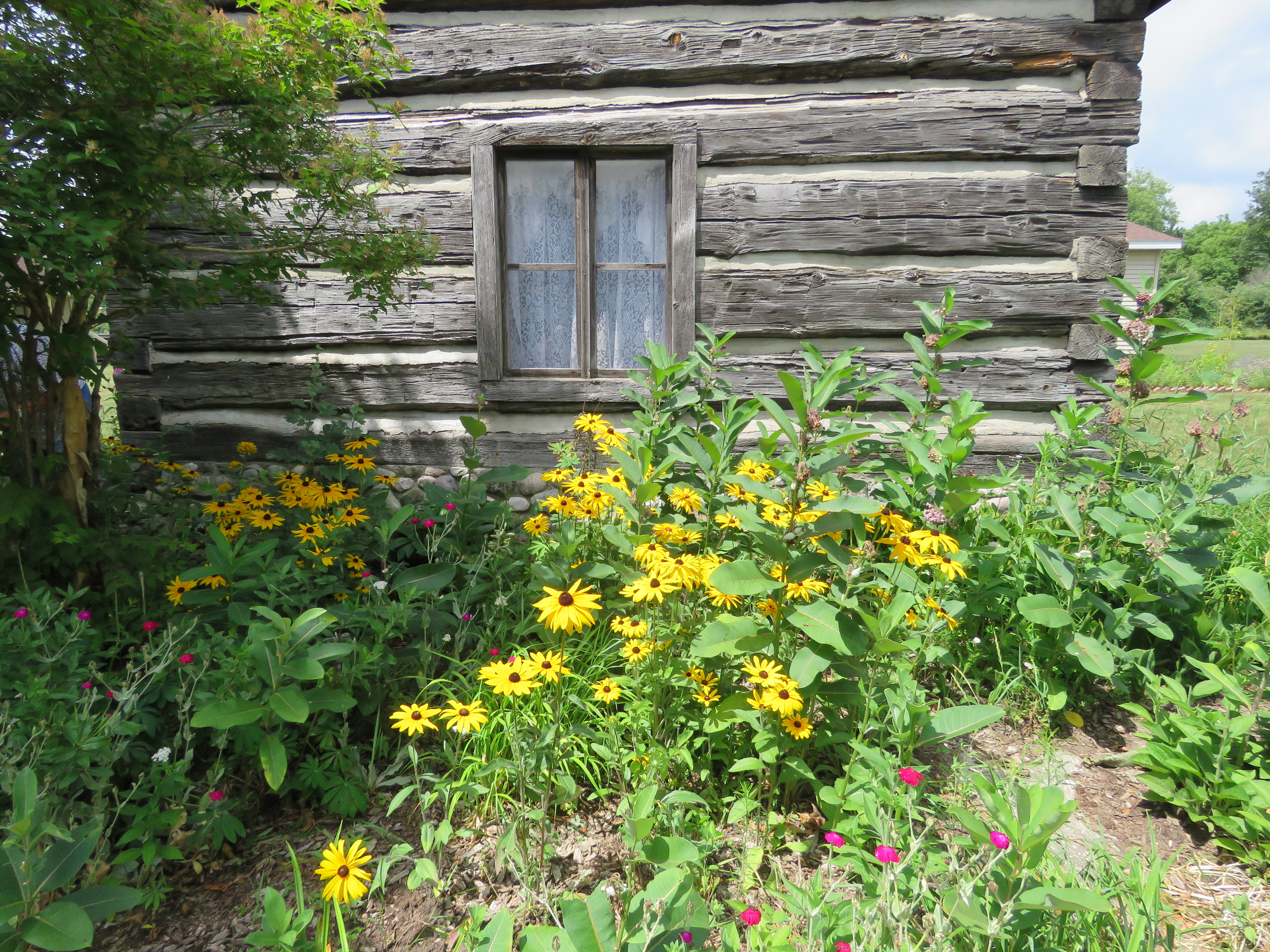 Flowers in front of a log cabin.